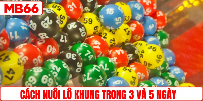 Cách nuôi lô khung trong 3 và 5 ngày