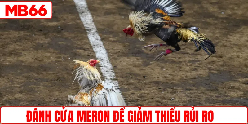 Đánh cửa meron để giảm thiểu rủi ro