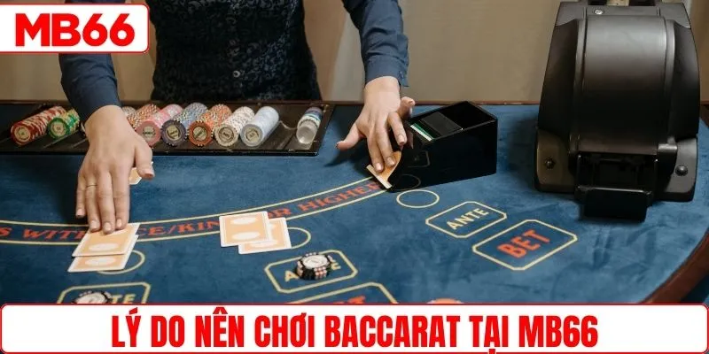 Lý do nên săn thưởng baccarat tại MB66