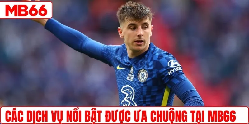 Những dịch vụ cá cược nổi bật tại thể thao MB66
